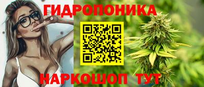 дмт Будённовск