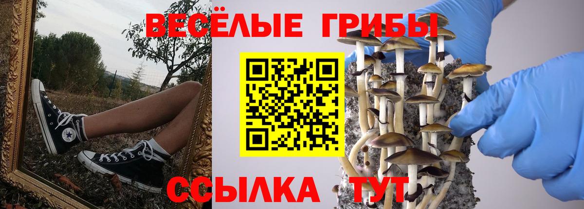 Псилоцибиновые грибы прущие грибы  Галлюциногенные грибы прущие грибы  Темрюк  Вход с VPN 