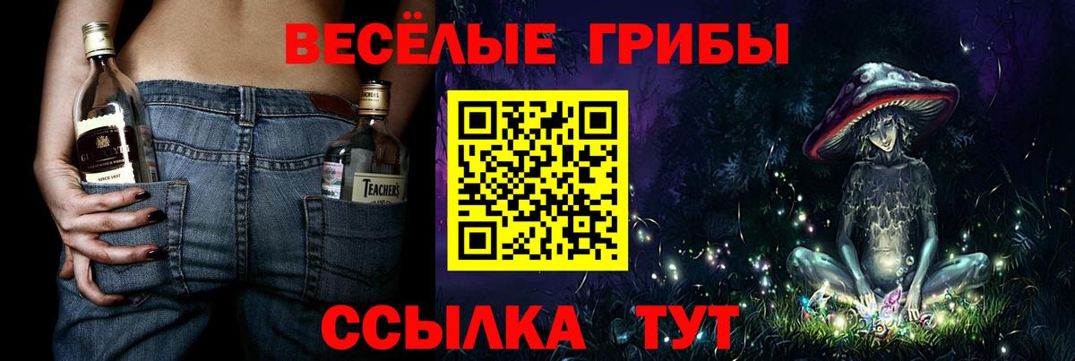 Галлюциногенные грибы Psilocybine cubensis Темрюк